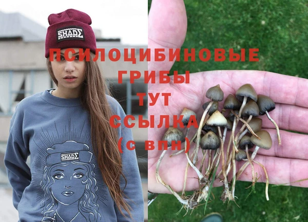 MDMA Новодвинск
