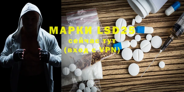 крисы Новозыбков
