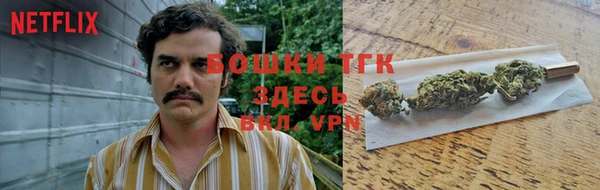 крисы Новозыбков