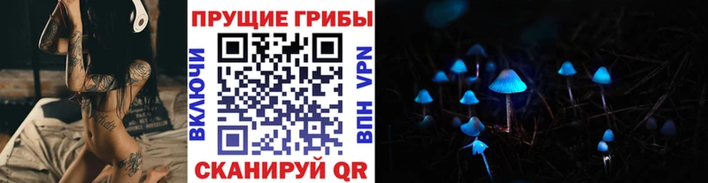 Псилоцибиновые грибы Psilocybine cubensis  shop телеграм  Карпинск  что такое   KRAKEN вход 